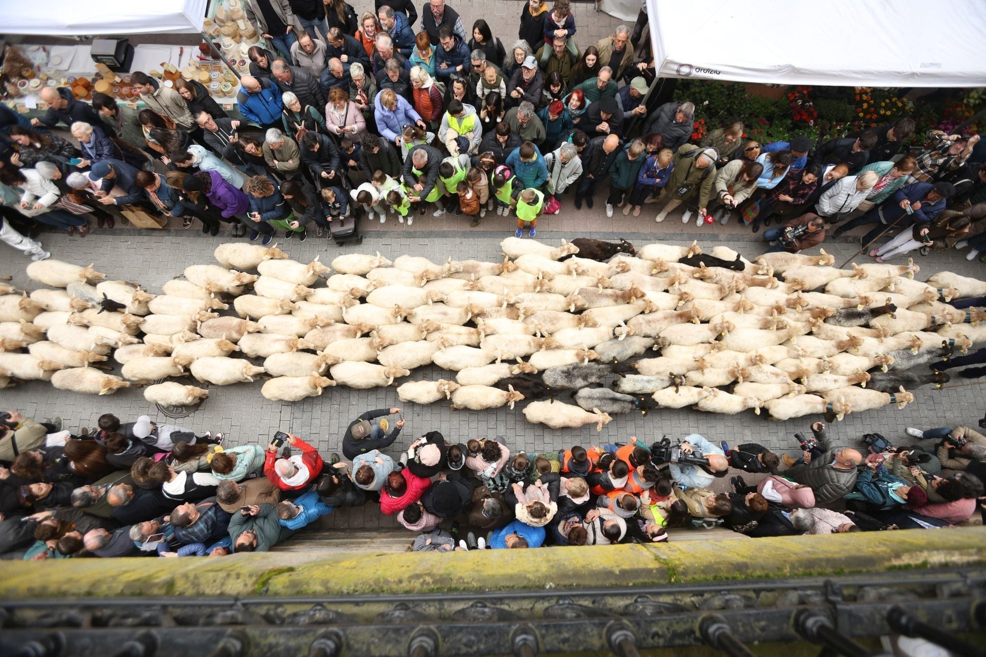 Multitudinario y festivo Artzain Eguna