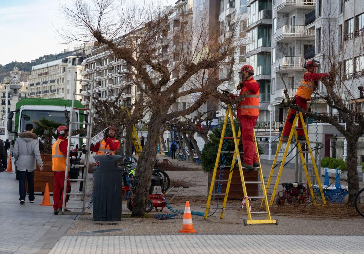 Mantenimiento Urbano y Movilidad reciben dos de cada tres quejas de los donostiarras