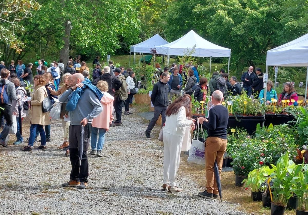 La Feria de Plantas de Colección contará con la participación de 57 viveristas