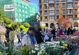 Flores, plantas, arbustos, semillas comestibles y un taller de manualidades con flores secas harán las delicias de los visitantes de la feria.