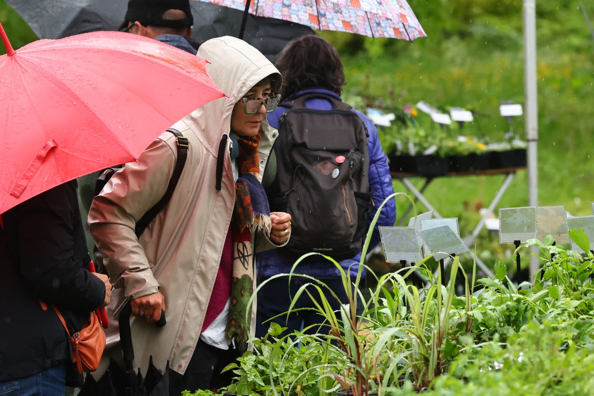 Las flores resaltan sobre los paraguas en la Feria de Plantas de Aia