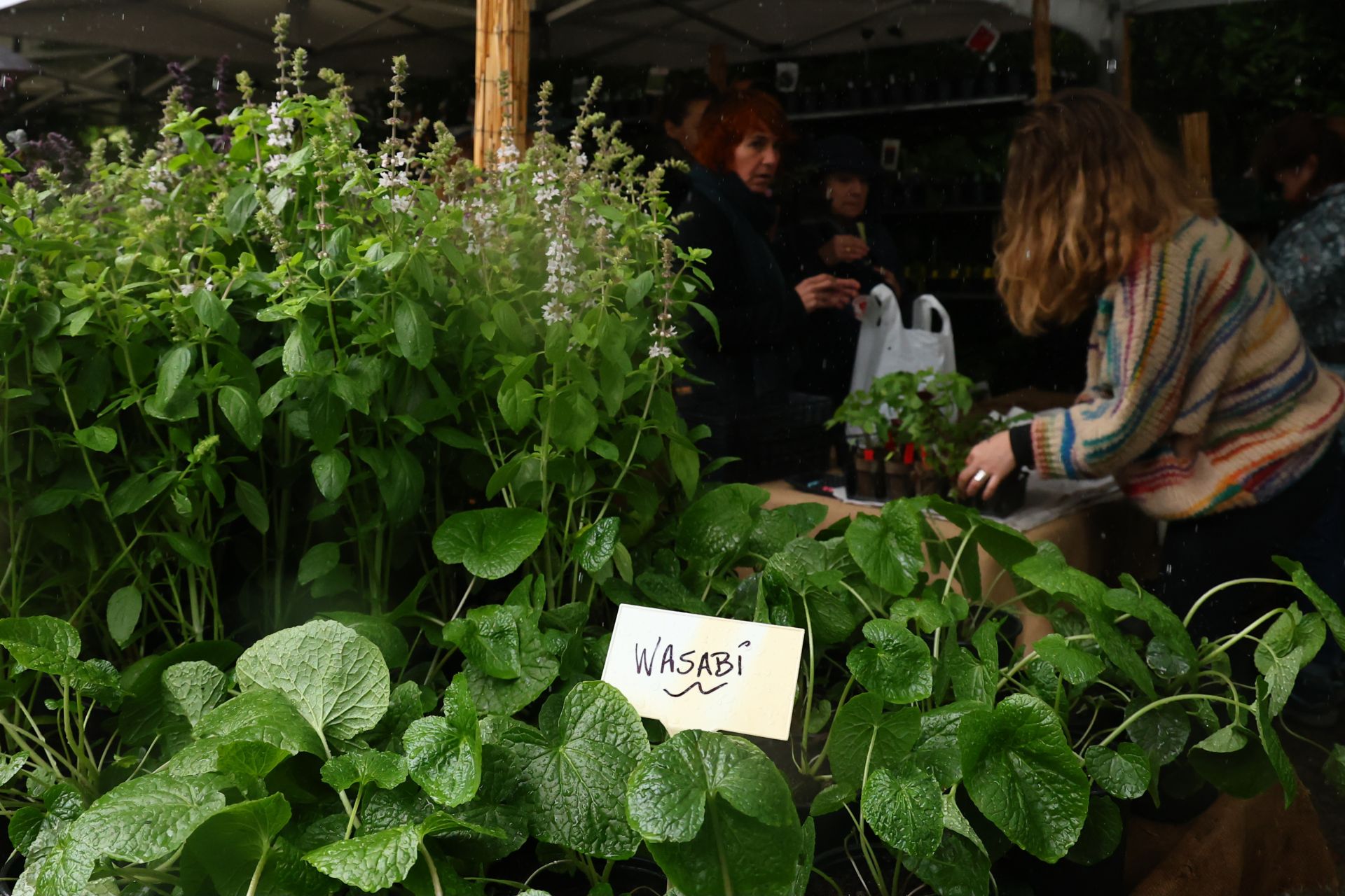 Las flores resaltan sobre los paraguas en la Feria de Plantas de Aia