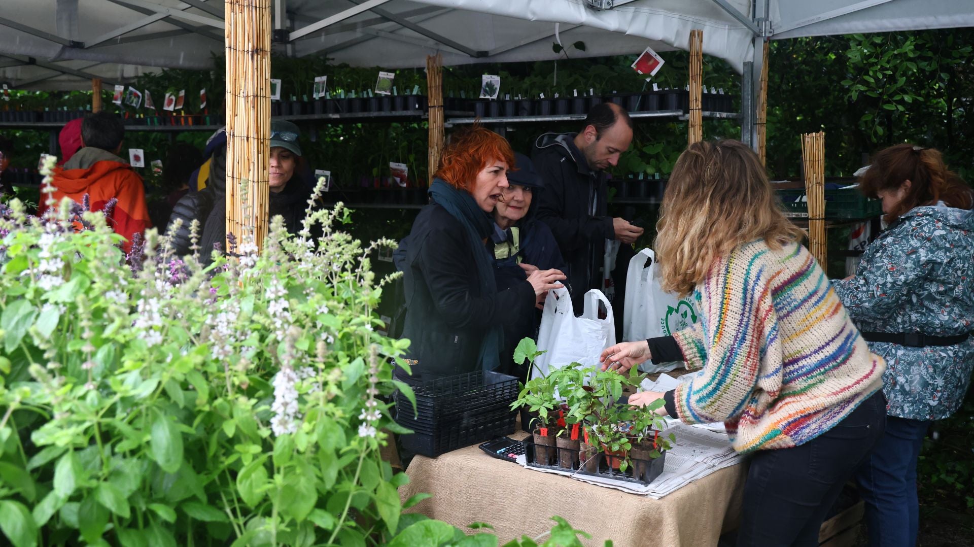 Las flores resaltan sobre los paraguas en la Feria de Plantas de Aia