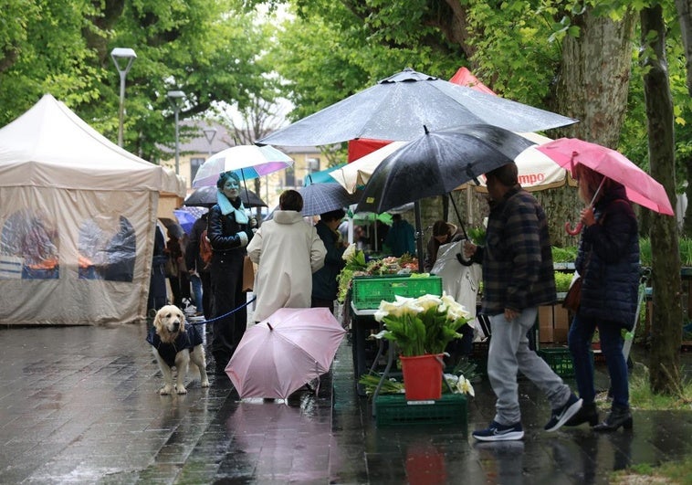 Cuenta atrás para la llegada del sol y la subida de temperaturas en Gipuzkoa: consulta cuándo parará de llover