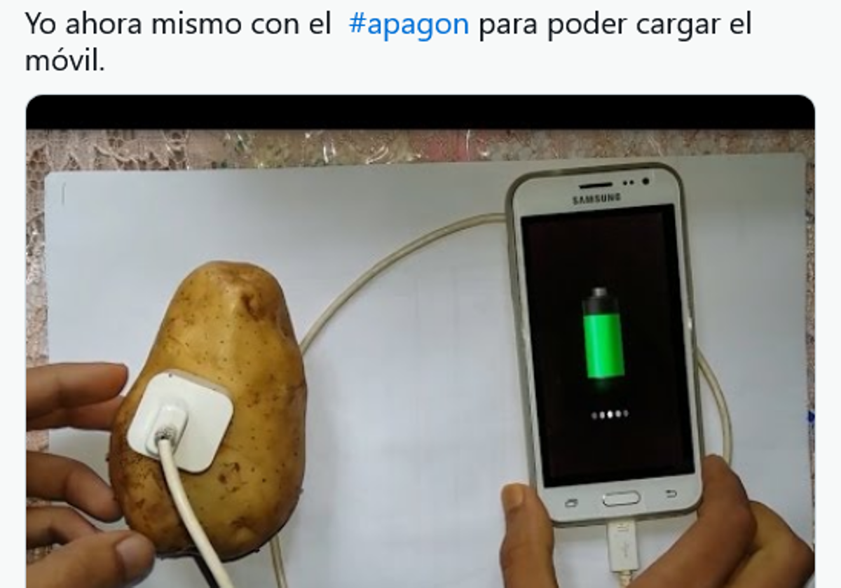 Imagen de Galeria 