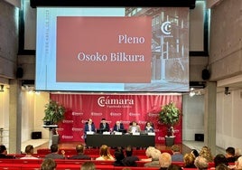 Pleno de la Cámara de Gipuzkoa este martes.