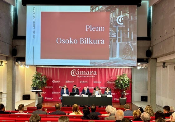 Pleno de la Cámara de Gipuzkoa este martes.