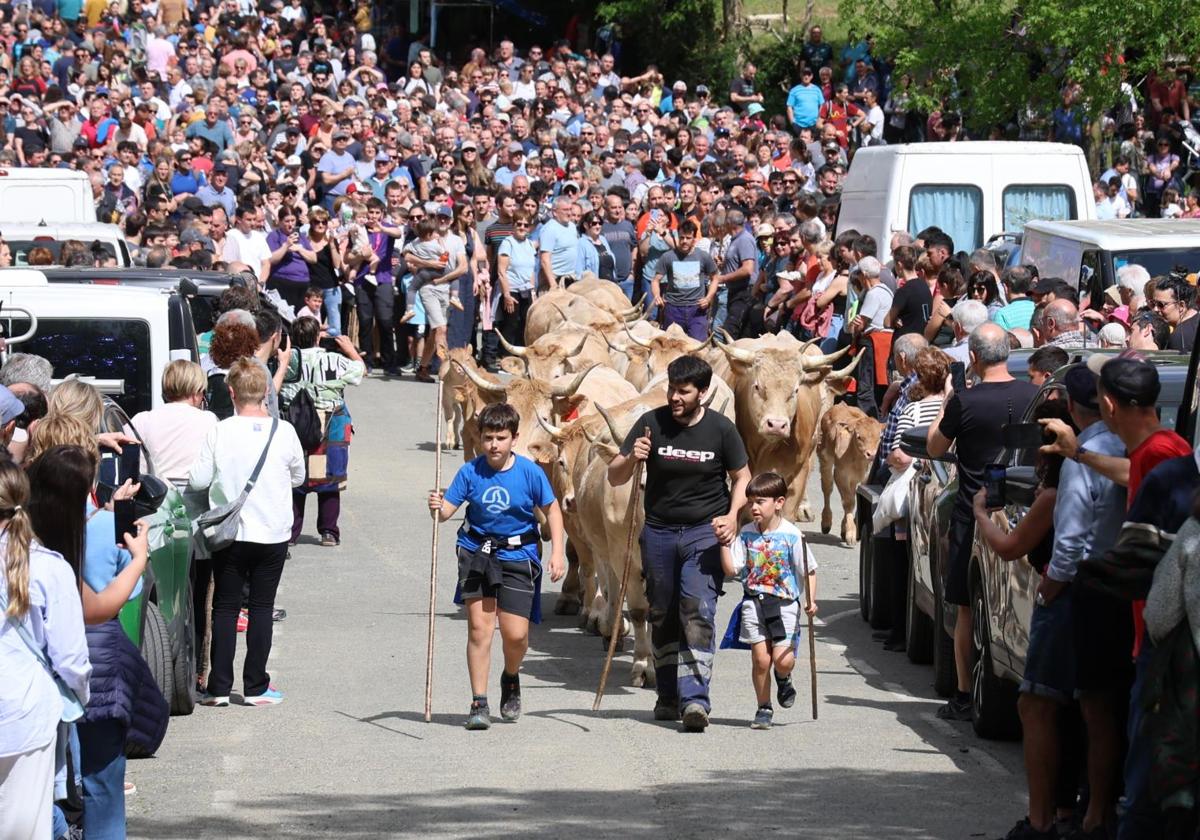 Apertura de los pastos de Aralar