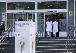 Dos sanitarios acceden por la puerta principal al Hospital Donostia.