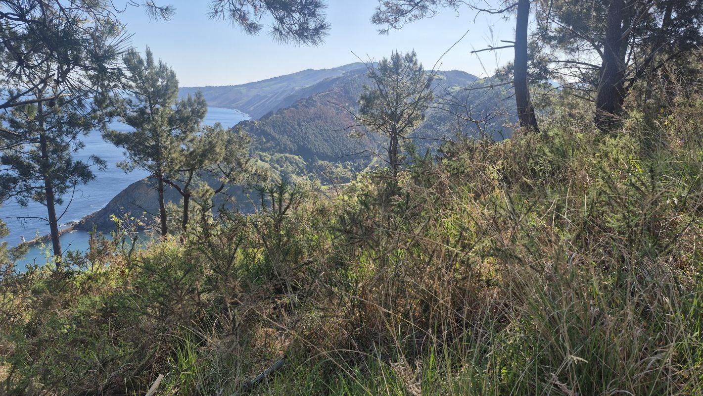 La discreta cima en mitad de la ciudad