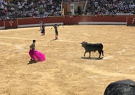 Aspecto de la plaza de toros de Guadalix de la Sierra en la novillada matinal del pasado fin de semana.