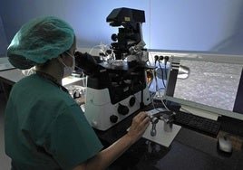 Una profesional de la Unidad de Reproducción Asistida del Hospital Donostia trabaja en un laboratorio.