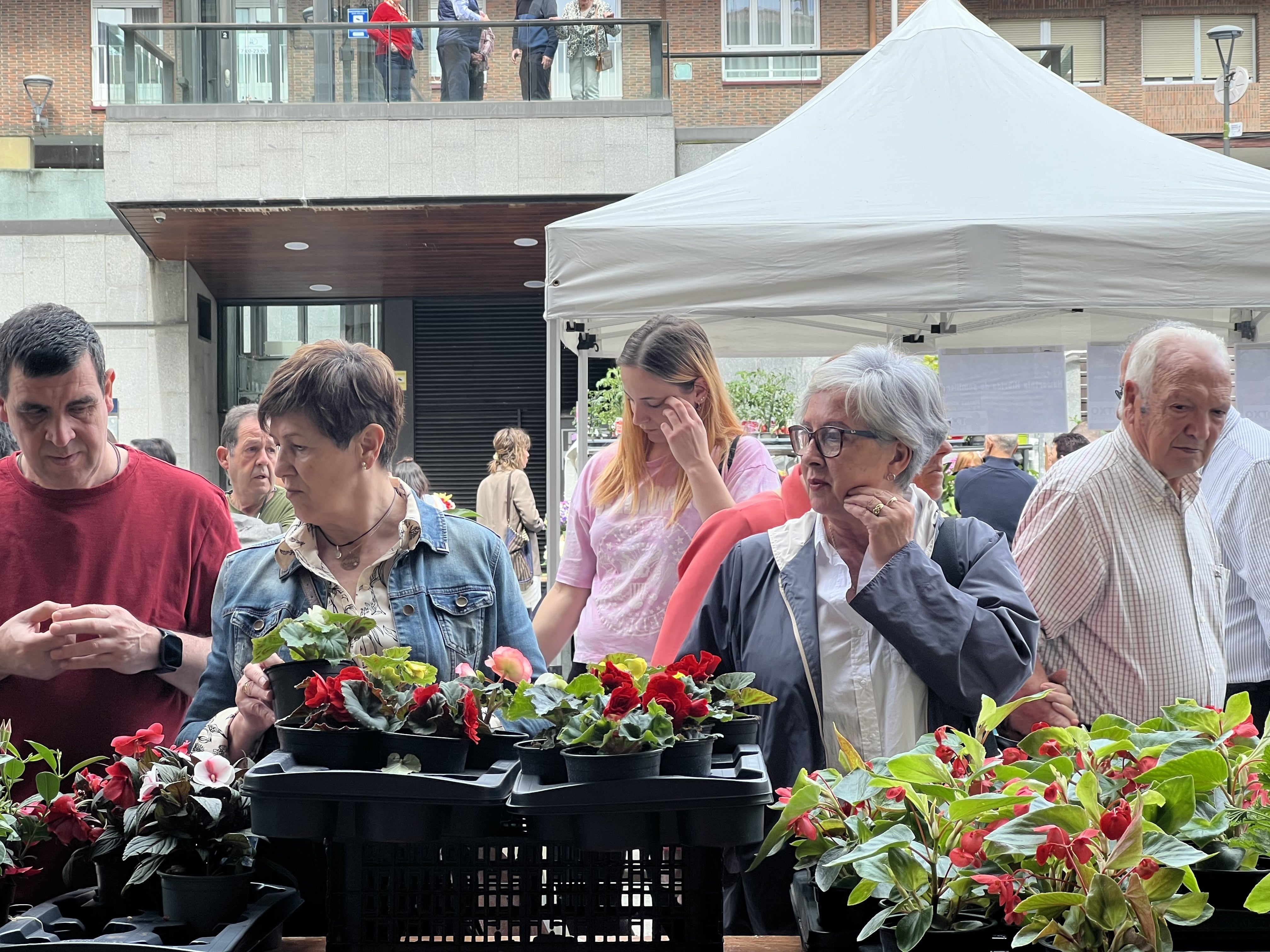 Flores y plantas, el regalo perfecto para el día de la madre en Urretxu