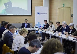El consejero Alberto Martínez interviene ayer en la reunión del Pacto de Salud en Vitoria.