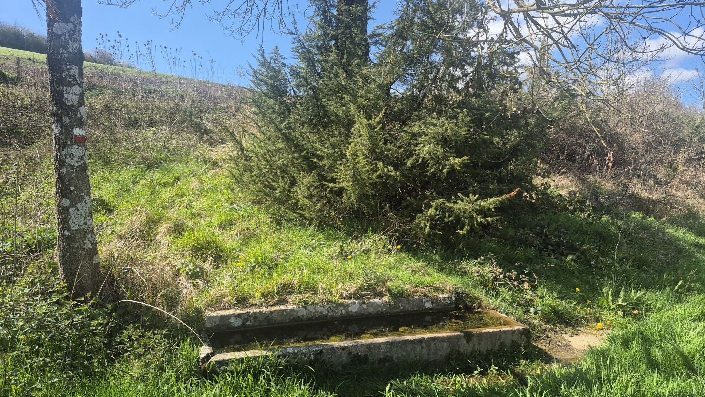Un rincón silencioso en el valle de Larraun