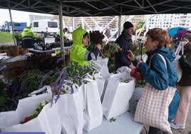 Primer día del reparto gratuito de flores y plantas