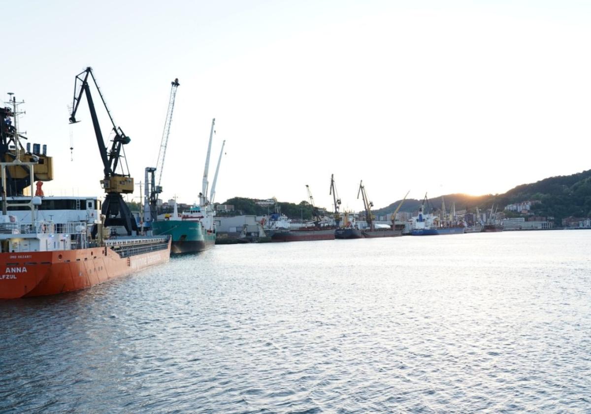 Varios buques mercantes de grandes dimensiones, amarrados en los muelles del puerto de Pasaia.