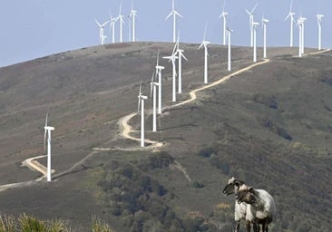 «Euskadi es energéticamente dependiente por lo que debe apostar por la innovación y la tecnología»