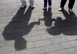 Tras el 'boom' de adopciones en el año 2000 y sucesivos, se produjo una caída en picado desde el año 2014.