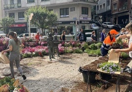 Todos los años se originan largas colas para recoger las flores de invierno y que tengan una segunda vida.