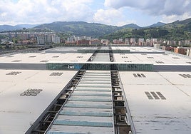 Descarbonización inteligente para ganar en competitividad y seguridad en la industria vasca