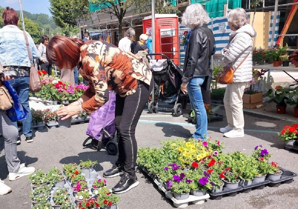 La feria llenó de flores y plantas Urbieta kalea