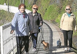 Tres mujeres por el bidegorri.