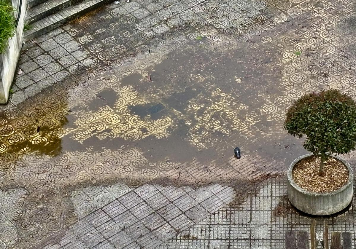 El Ayuntamiento de San Sebastián no sabe, no contesta