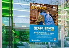 Hasta 31 supermercados de Mercadona en Euskadi participan en la Recogida Primavera