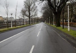 Los hecho tuvieron lugar en el Paseo Árbol de Gernika de Donostia.