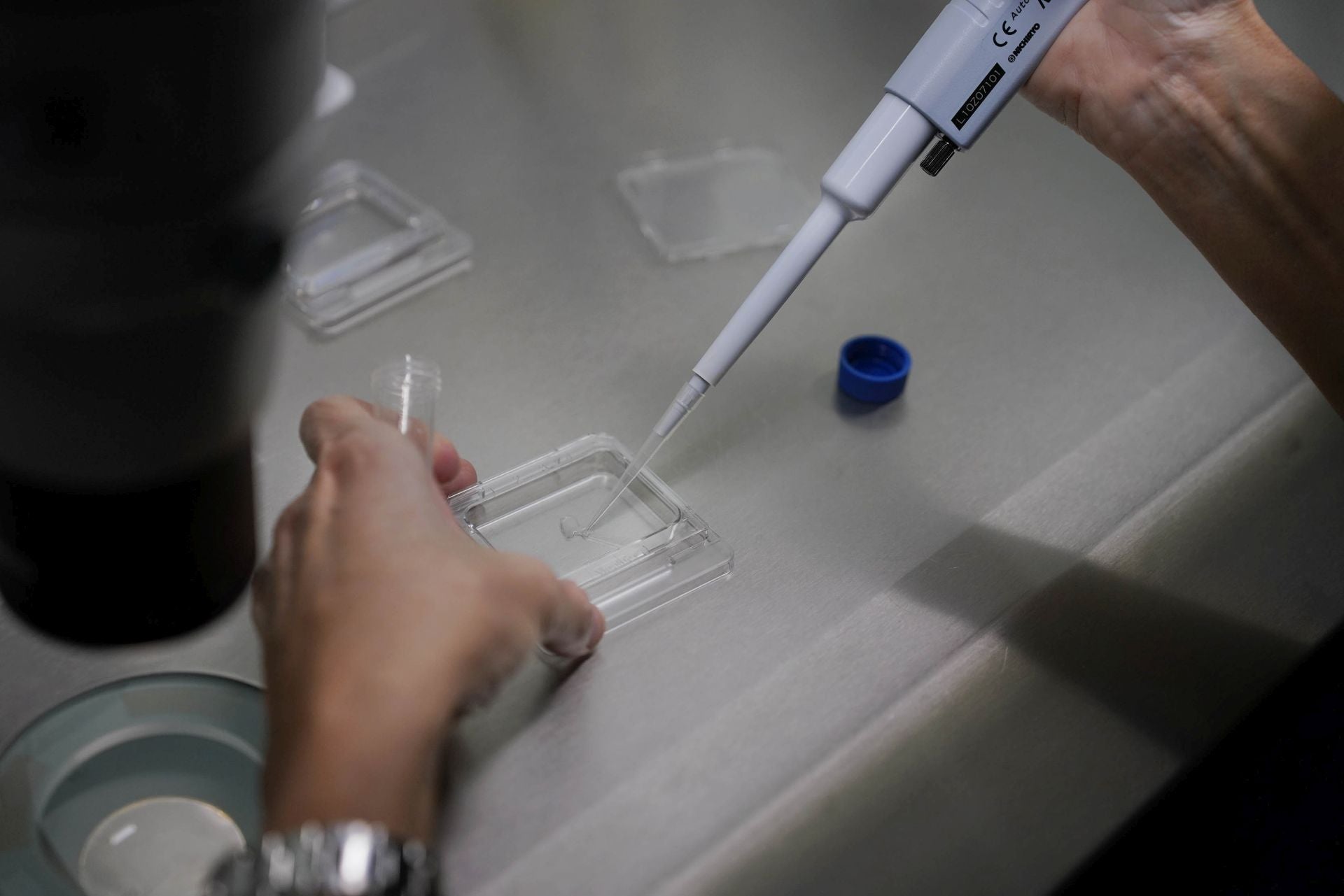 El Gobierno Vasco invertirá 50 millones en reforzar proyectos de investigación