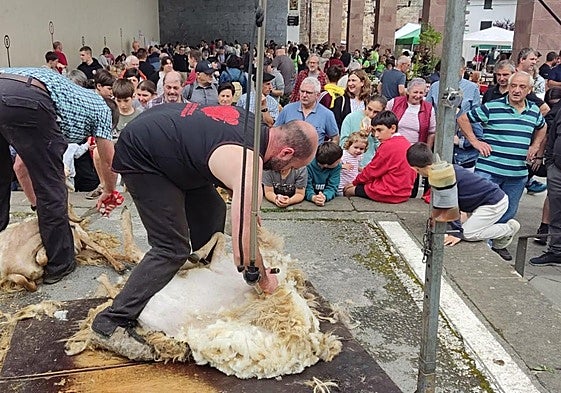 La demostración de esquileo con tijera tradicional y máquina eléctrica atrajo numerosos público.