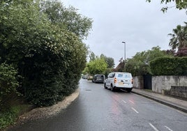 Gabi Sola nos envía esta imagen del Alto de Zorroaga y el siguiente comentario: «Todos los años lo mismo. Los autobuses rozan, los coches pasan justo, más de la mitad del carril de circulación invadido por la vegetación... En vez de dedicar los agentes al radar, igual los podrían utilizar para ver las zonas de la ciudad que tienen problemas. Cuestión de prioridades».
