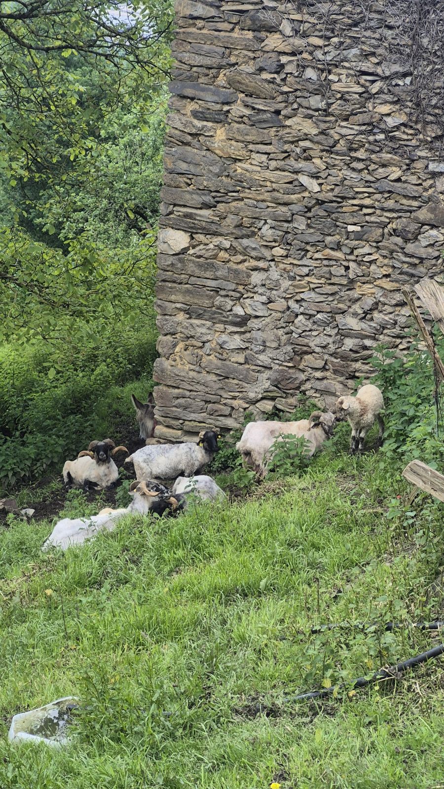 Usurbe, un balcón al Goierri