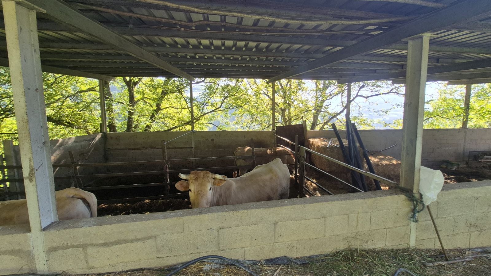 Usurbe, un balcón al Goierri