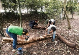 Padres y madres trabajando en el pequeño bosque.
