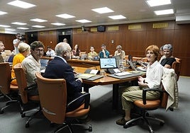 La Ararteko provisional, Inés Ibáñez de Maeztu, en el Parlamento Vasco.