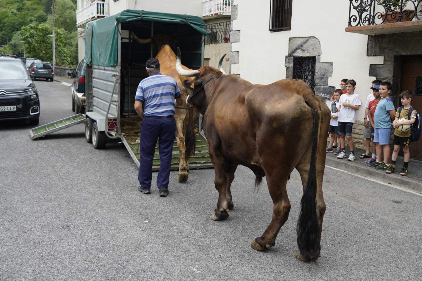 Así ha sido el cambio de bueyes entre Tolosa y Lazkao