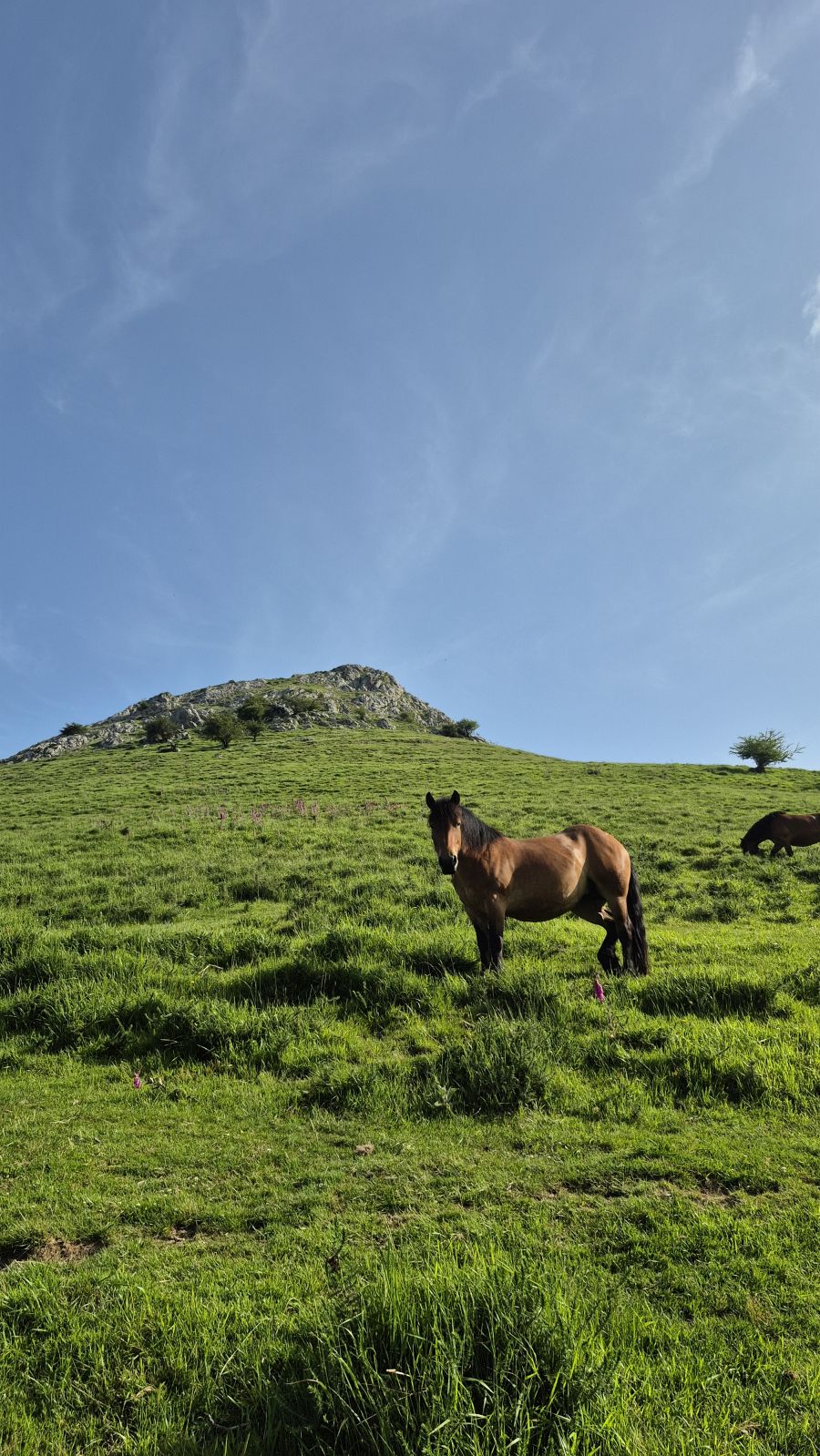 Ausa Gaztelu, el castillo de Aralar