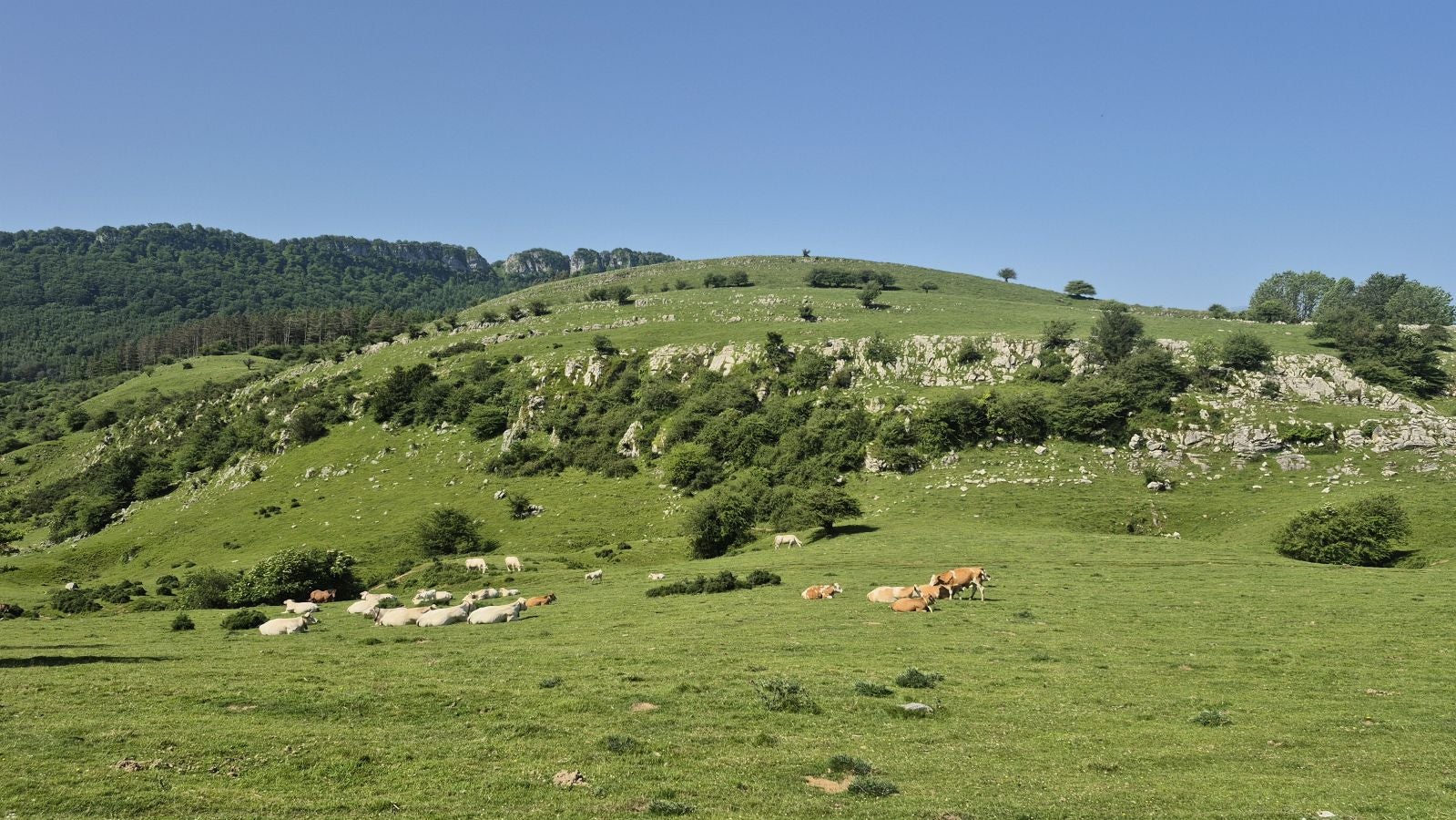 Ausa Gaztelu, el castillo de Aralar