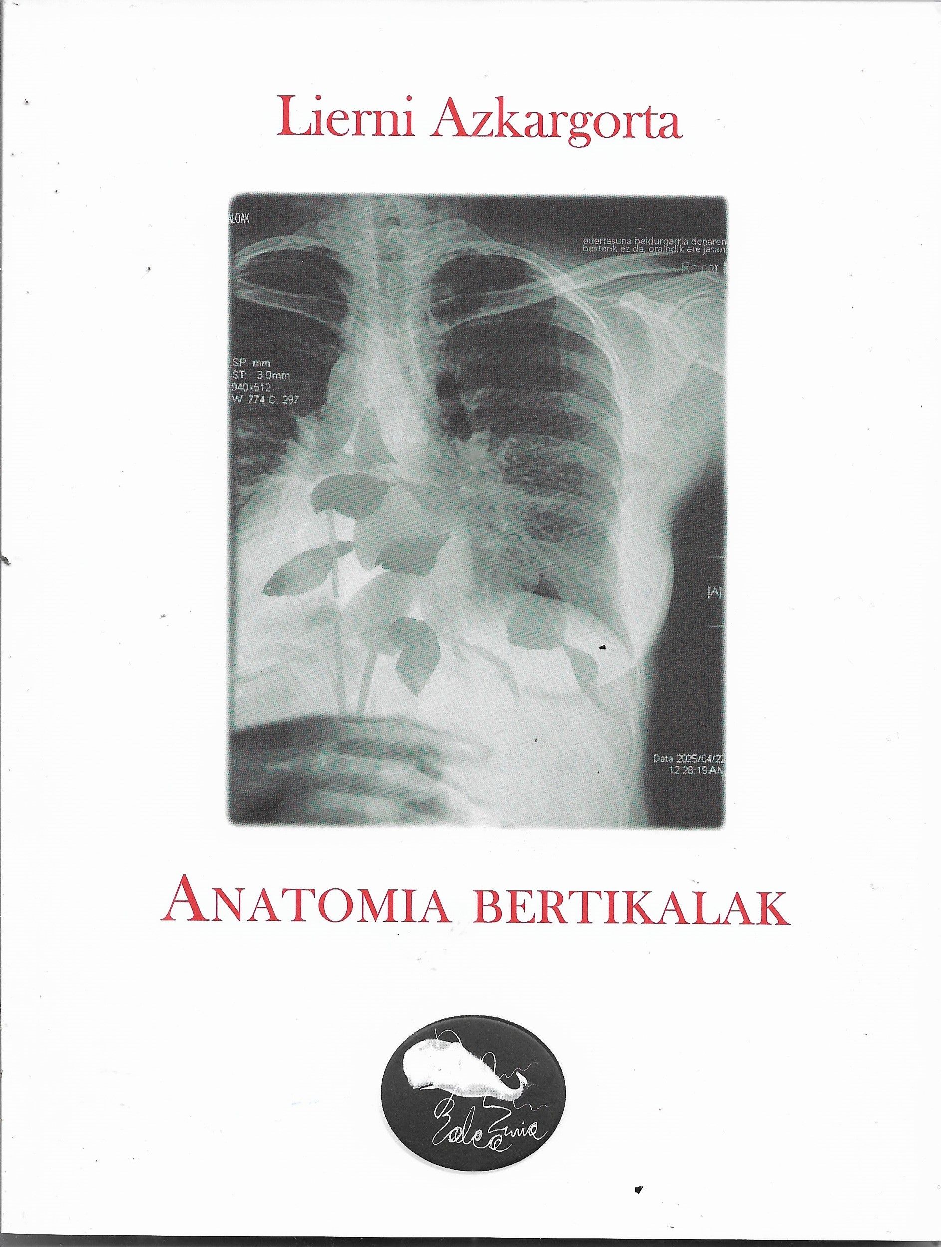 'Anatomia bertikalak'