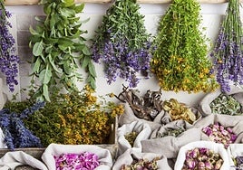 La hierbas tradicionales tiene un muestrario amplísimo de variedades con una larga tradición.