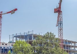 El Ayuntamiento ha activado el proceso de consulta pública previa para la elaboración de una nueva ordenanza municipal.