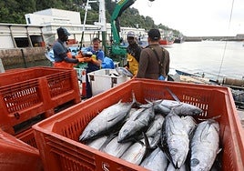 Descarga de bonito en el puerto de Hondarribia en la anterior campaña.
