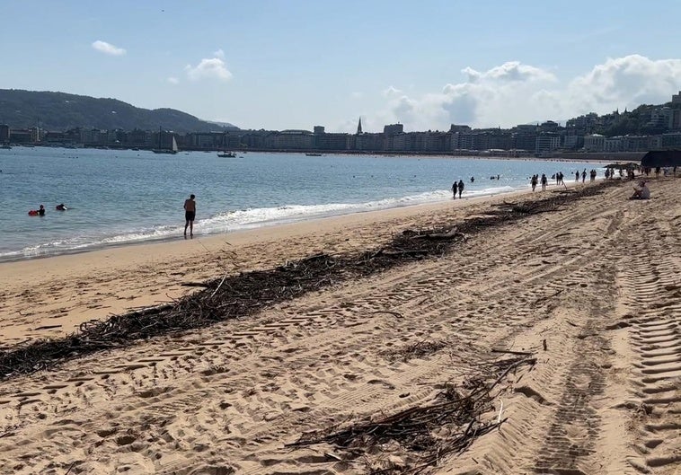 Palos, troncos y ramas, en la orilla de Ondarreta