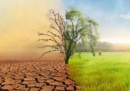 Ciencia abierta para combatir la desinformación climática