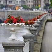 Vista de las macetas del paseo de Francia, junto al río Urumea.