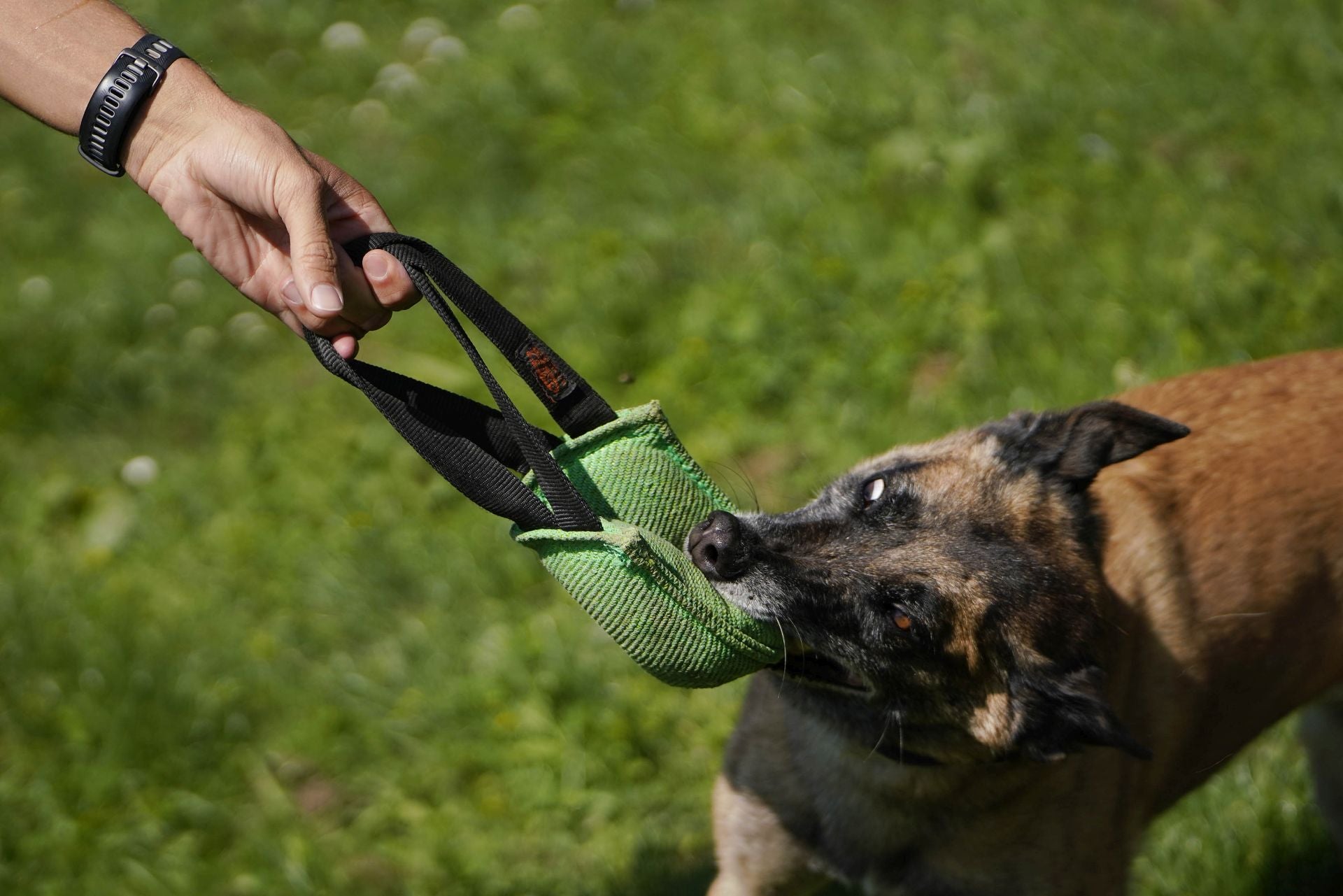 Visita a la unidad canina de la Ertzaintza