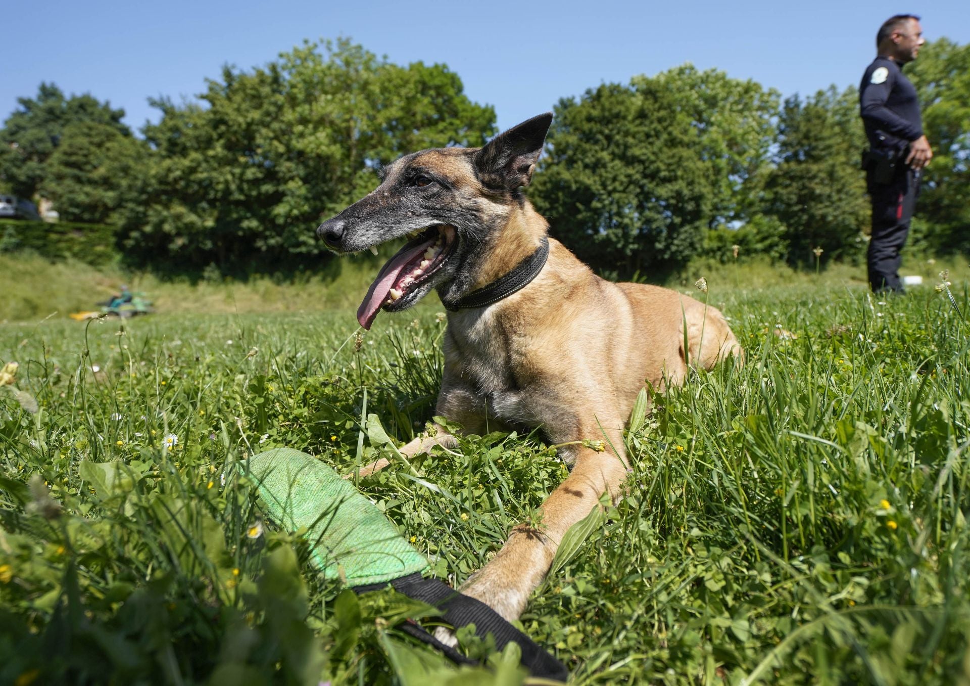 Visita a la unidad canina de la Ertzaintza
