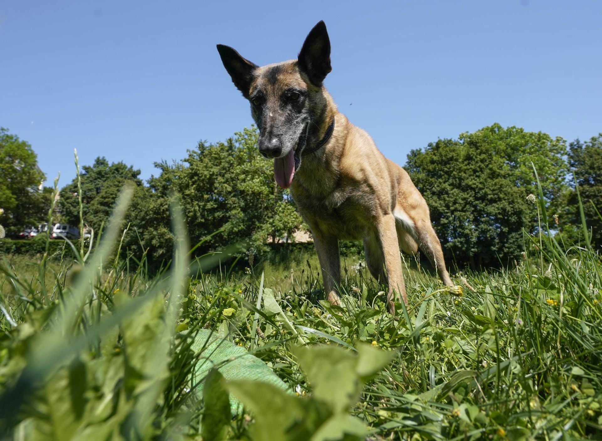 Visita a la unidad canina de la Ertzaintza